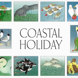 HBCH Coastal Holiday Boxed Holiday Assortment-