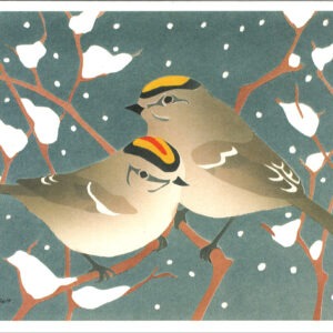 HC1003 Golden-Crowned Kinglets