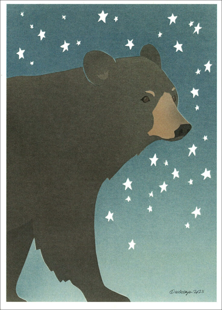 HC1019 Bear Night SKy