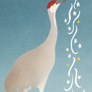 HC1020 Sandhill Crane