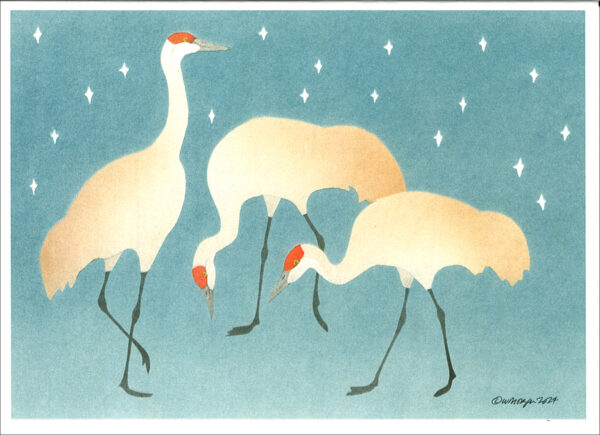 HC1022 SandHill Cranes