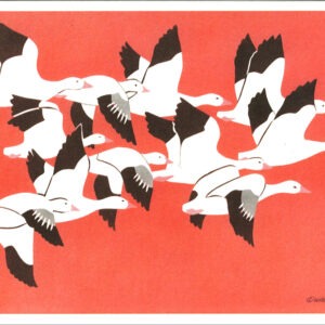 HC1023 Snow Geese