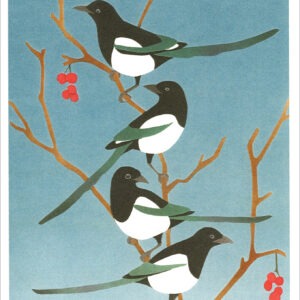 HC1024 Black-Billed Magpies