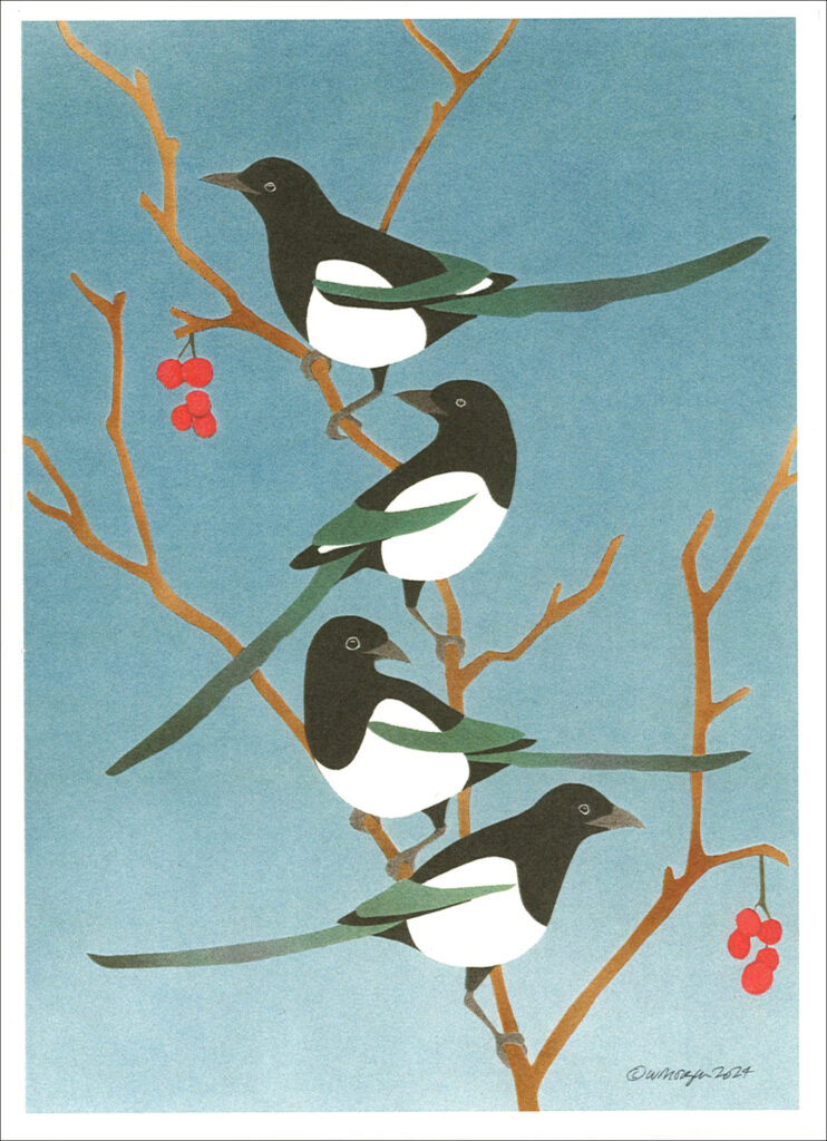 HC1024 Black-Billed Magpies