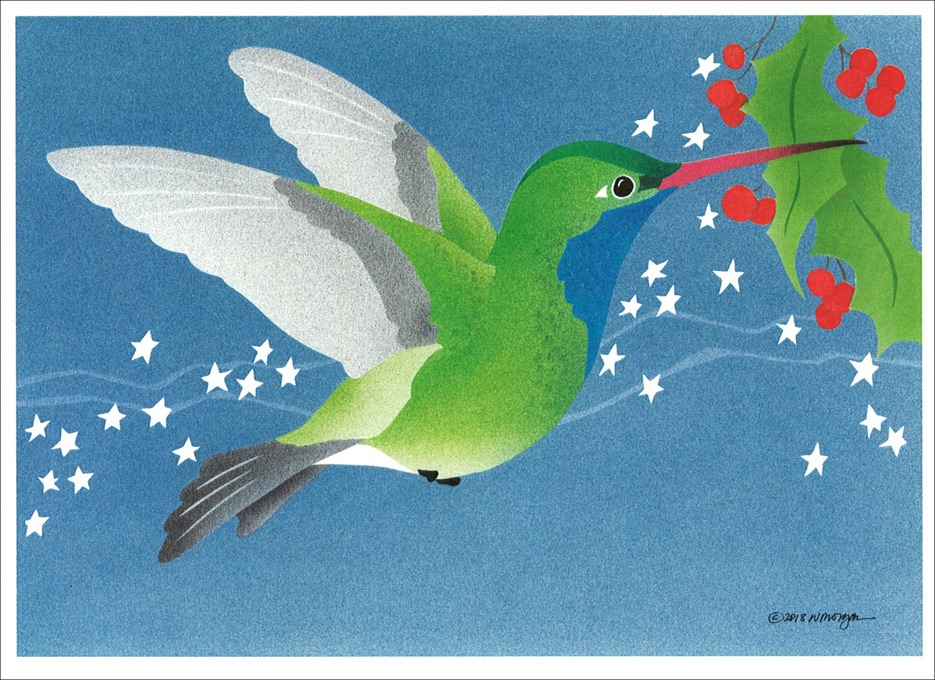 HC233 Broad-Billed Hummingbird