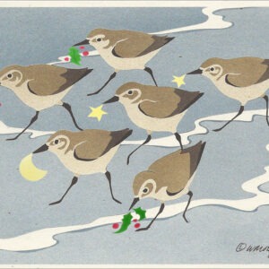 HC237 Sanderlings Holiday Card