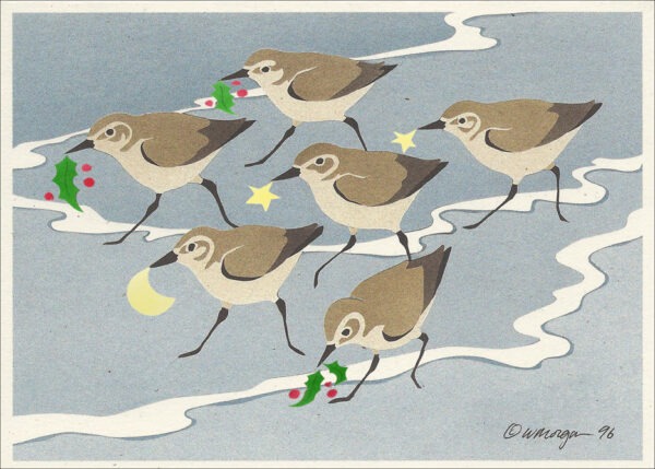 HC237 Sanderlings Holiday Card