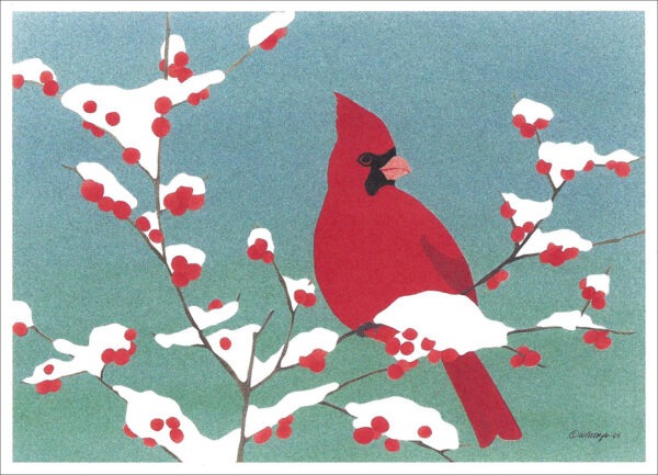 HC247 Winter Berries Holiday Card