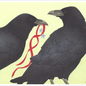 HC259 Common Ravens