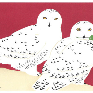 HC260 Snowy Owls