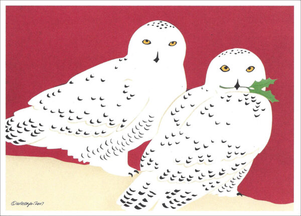 HC260 Snowy Owls