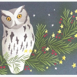 HC273 Screech Owl