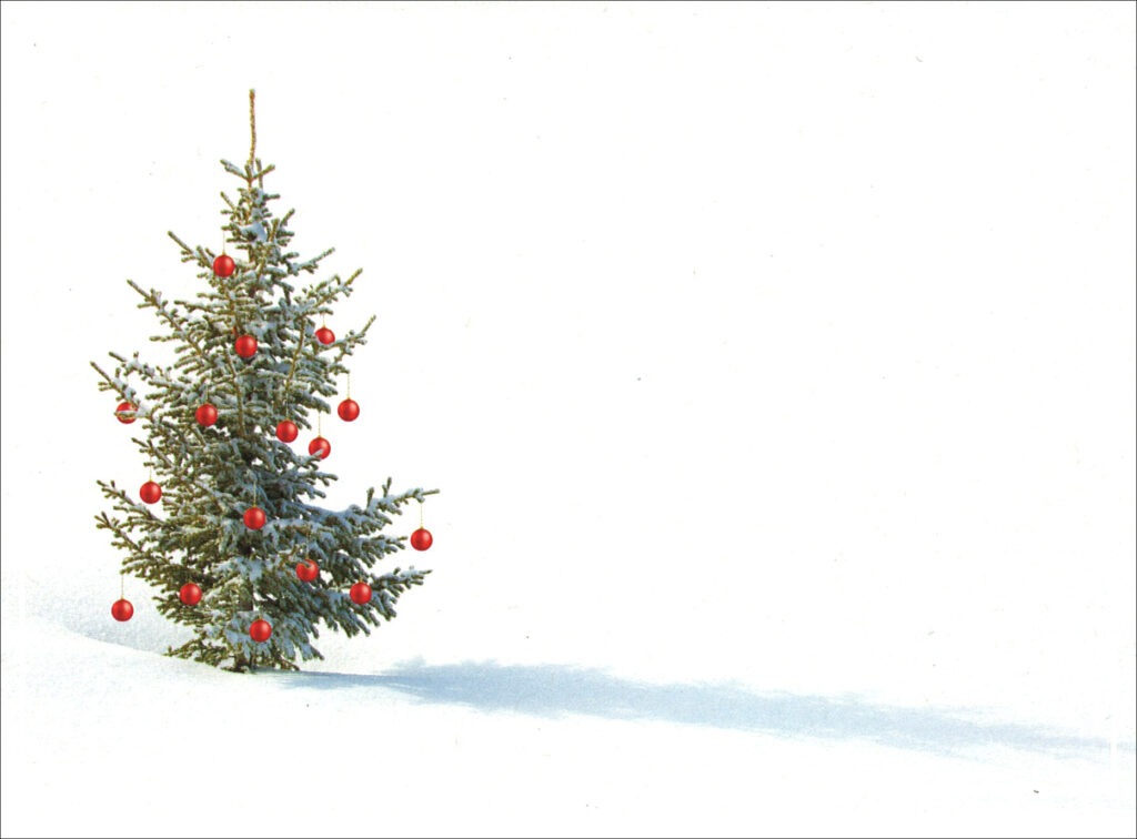 HC3011 Holiday Spirit