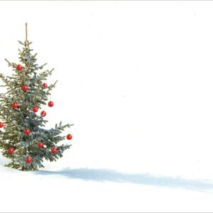 HC3011 Holiday Spirit