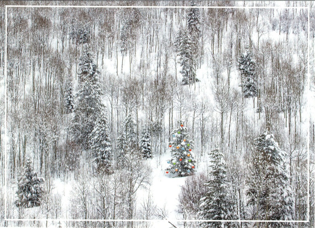 HC362 A Light in The Forest