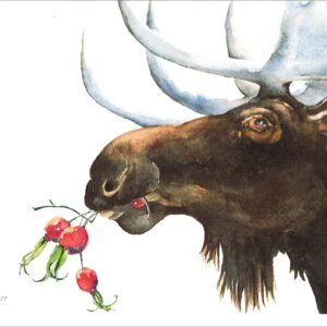 HC639 Moose and Rosehips