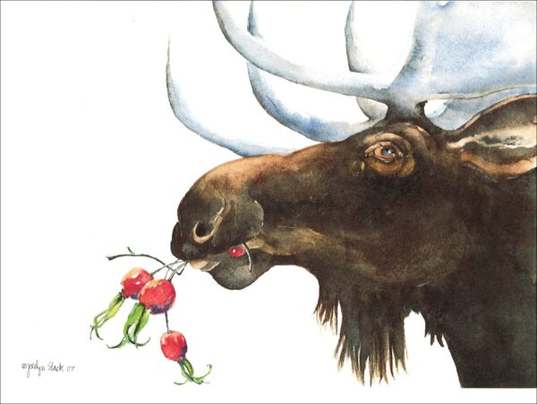HC639 Moose and Rosehips