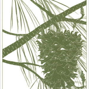 HC786 Henry's Pine Cone