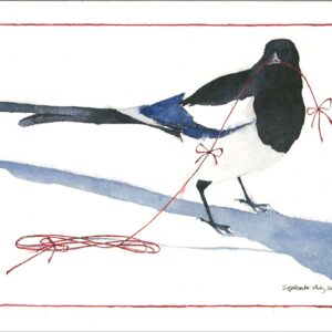 HC916 Gift of the Magpie