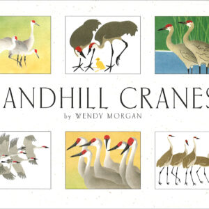 NBSC12 Sandhill Cranes Assortment Box