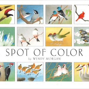NBSP12 Spot of Color Assortment Box