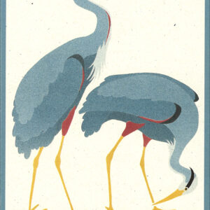 NC013 Great Blue Herons Notecard