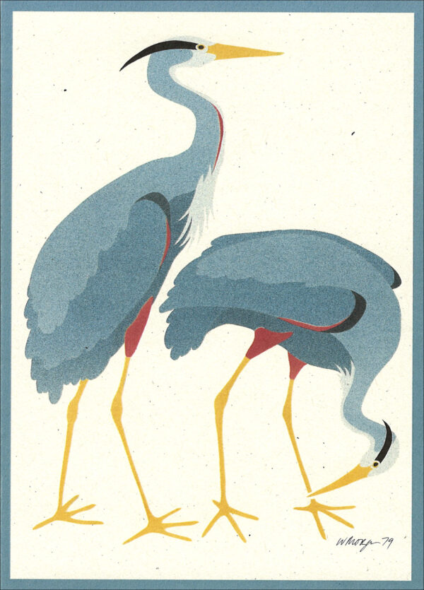 NC013 Great Blue Herons Notecard