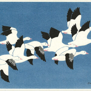 NC028 Flying Snow Geese Notecard