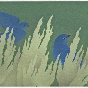 NC032 Mountain Bluebirds Notecard
