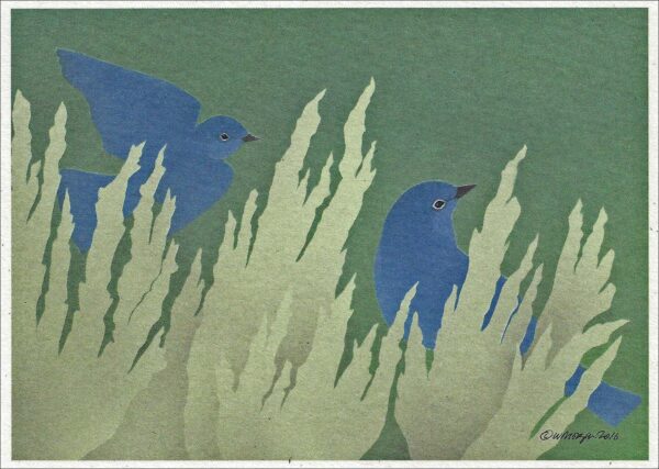 NC032 Mountain Bluebirds Notecard
