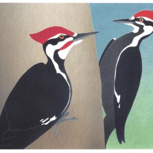 NC033 Pileated Woodpeckers Notecard