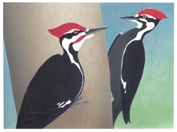 NC033 Pileated Woodpeckers Notecard