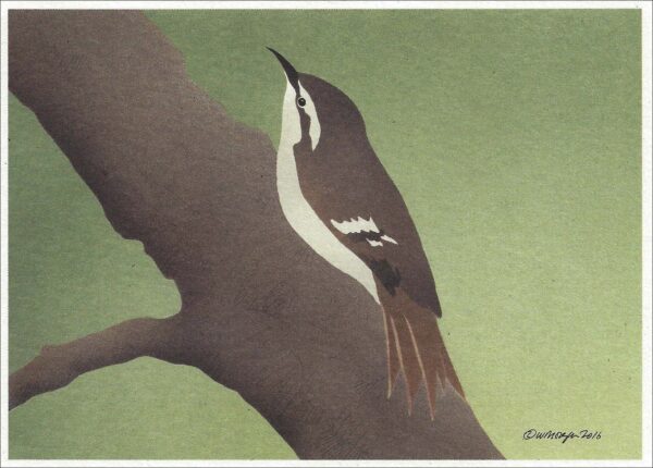 NC034 Brown Creeper Notecard