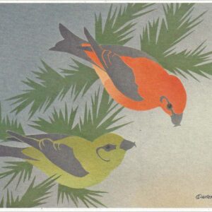 NC035 Red Crossbills Notecard