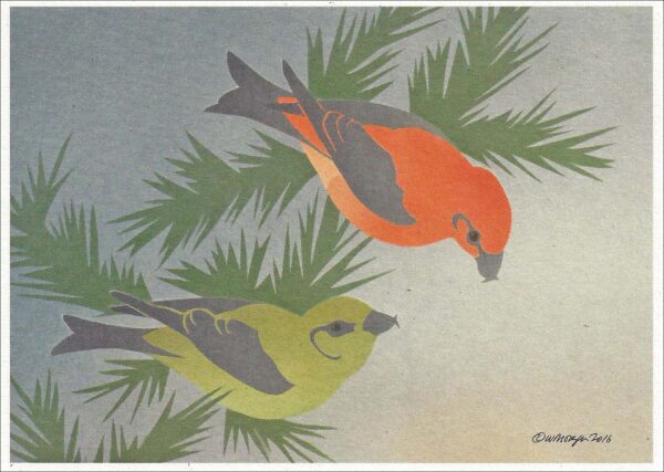 NC035 Red Crossbills Notecard