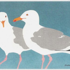 NC036 Herring Gulls Notecard