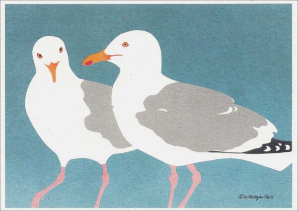 NC036 Herring Gulls Notecard