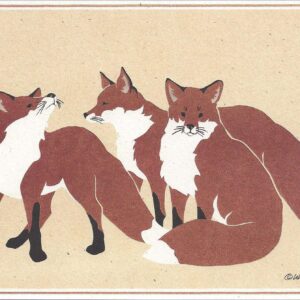 NC55 Red Foxes Notecard
