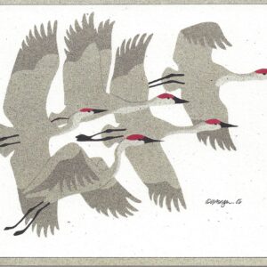 NC069 Flying Sandhill Cranes Notecard