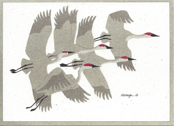 NC069 Flying Sandhill Cranes Notecard