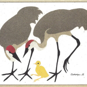 NC070 Sandhills with Young notecard