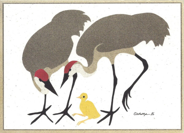 NC070 Sandhills with Young notecard