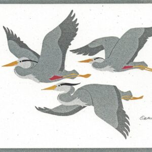 NC073 Great Blue Herons Flying Notecards
