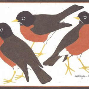 NC078 American Robins Notecard