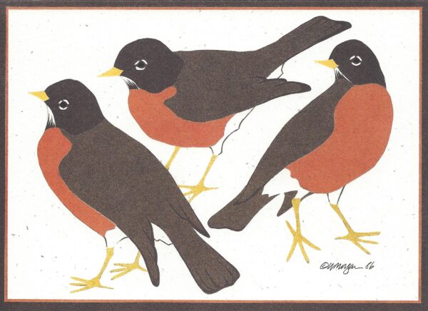 NC078 American Robins Notecard