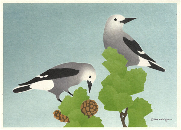 NC1001 Clark's Nutcrackers Notecard