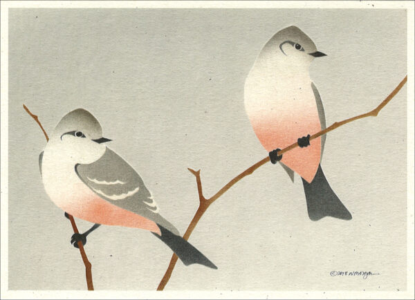 NC1002 Say's Phoebes Notecard