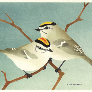 NC1003 Golden-Crowned Kinglets Notecard