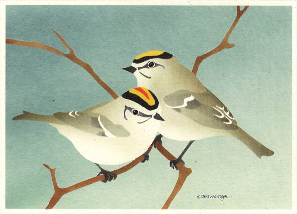 NC1003 Golden-Crowned Kinglets Notecard