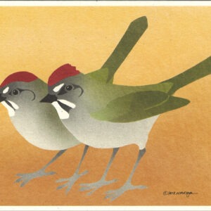 NC1004 Green-Tailed towhees